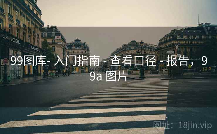 99图库- 入门指南 - 查看口径 - 报告，99a 图片